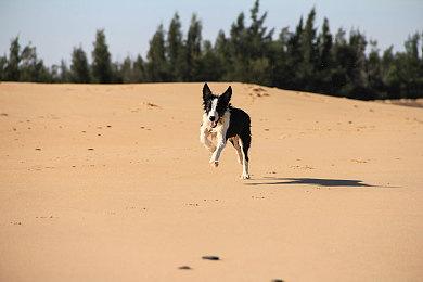 经典影视剧改编游戏《星际之门：计时者》发布试玩Demo